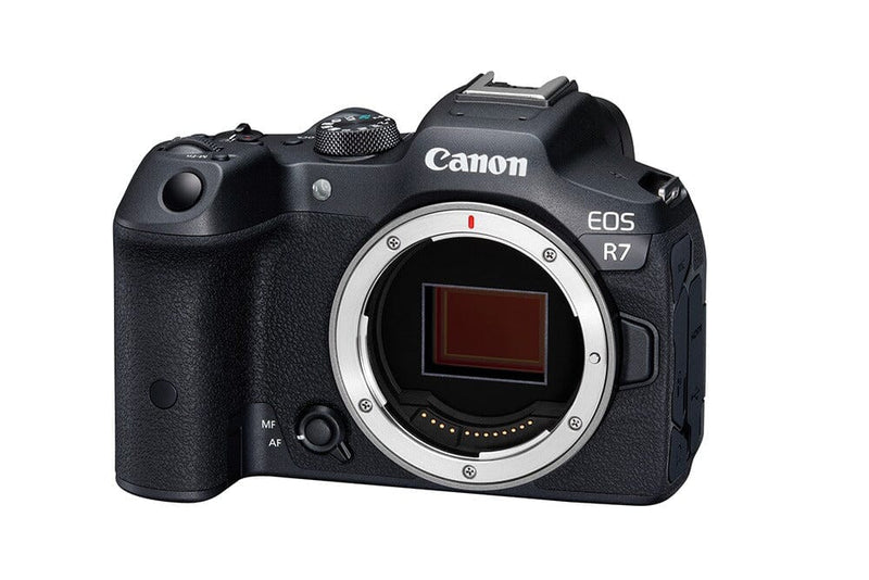 Câmera Canon Mirrorless EOS R7 Canon Corpo + Adaptador 